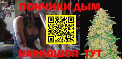индика Жуковский