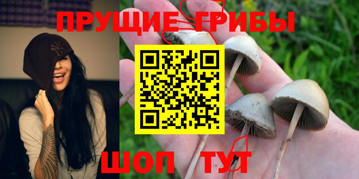 Кудымкар  Галлюциногенные грибы мицелий  Псилоцибиновые грибы ЛСД  Вход с VPN 